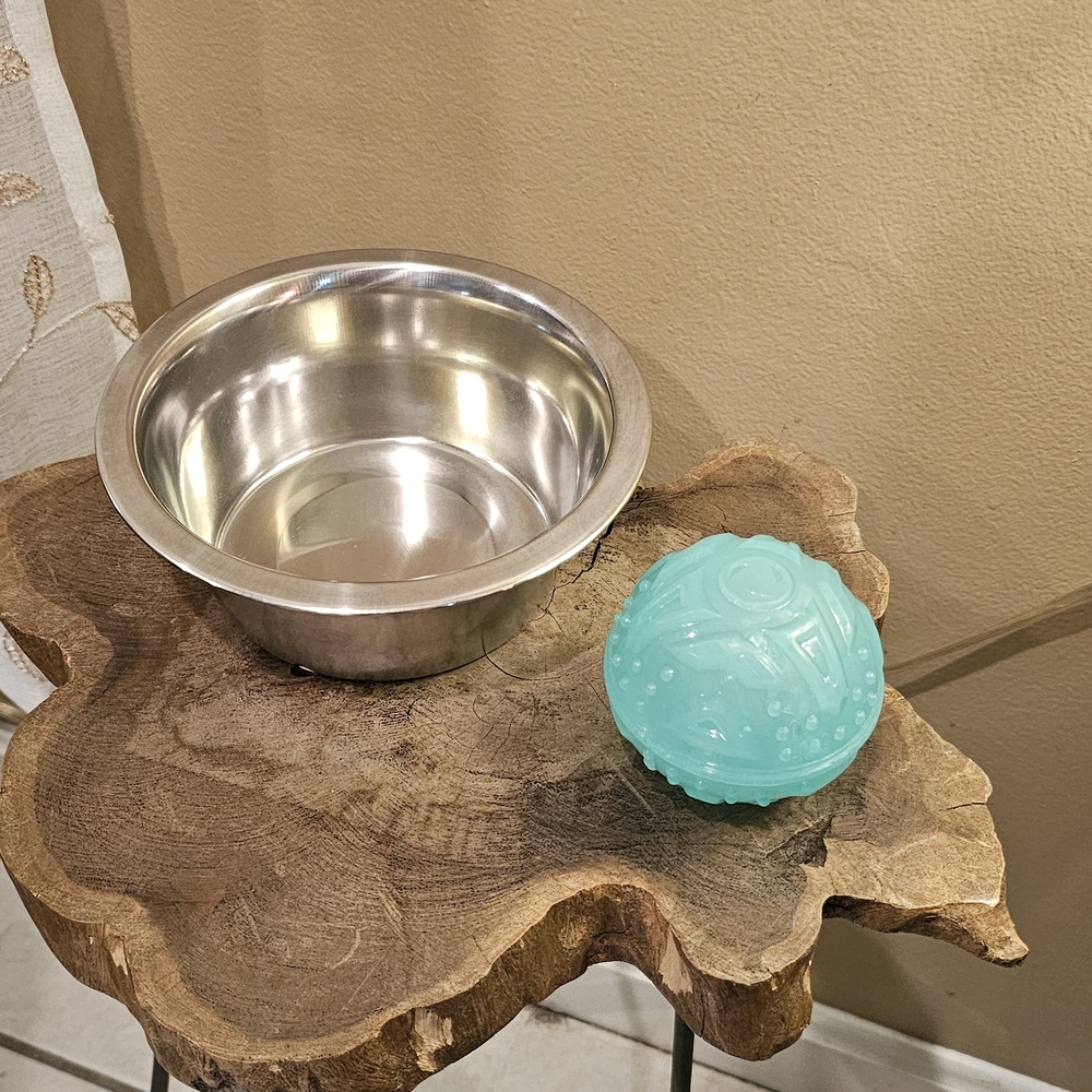 Arcadia Trail Glow-in-the-dark Dog Toy & Top Paw Stainless Steel Pet Bowl